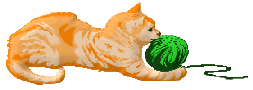 Cat 5