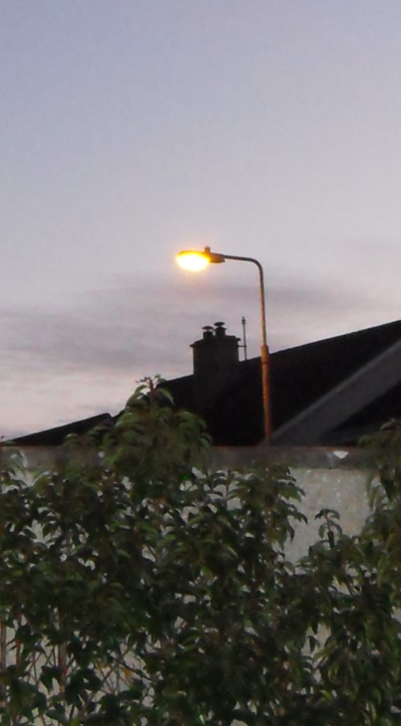 Beta 79 on column - placeholder