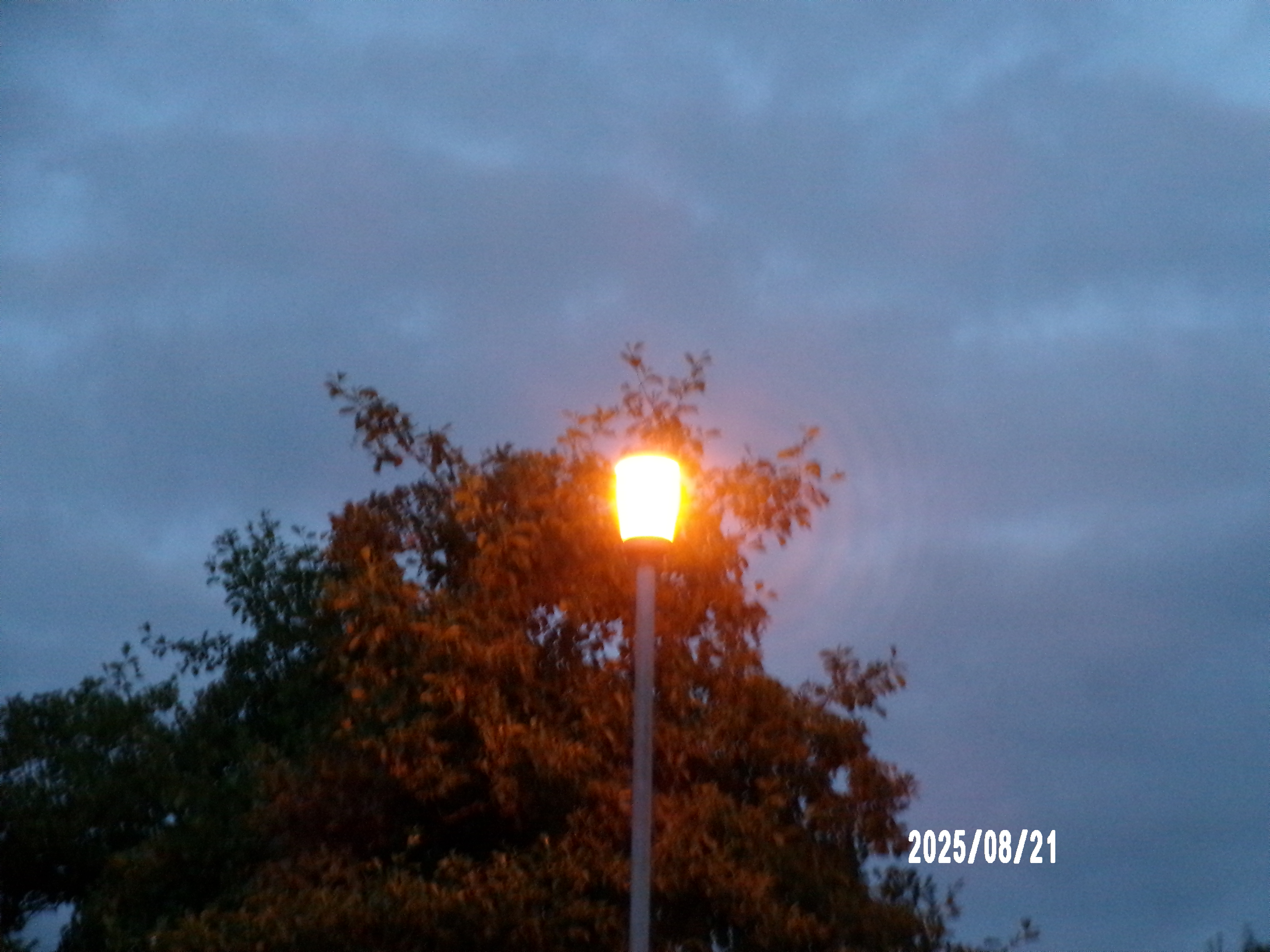 Gamma 6 at dusk - placeholder