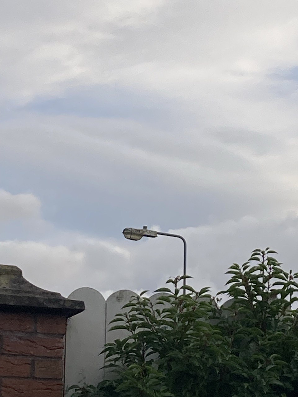 Beta 79 on column - placeholder