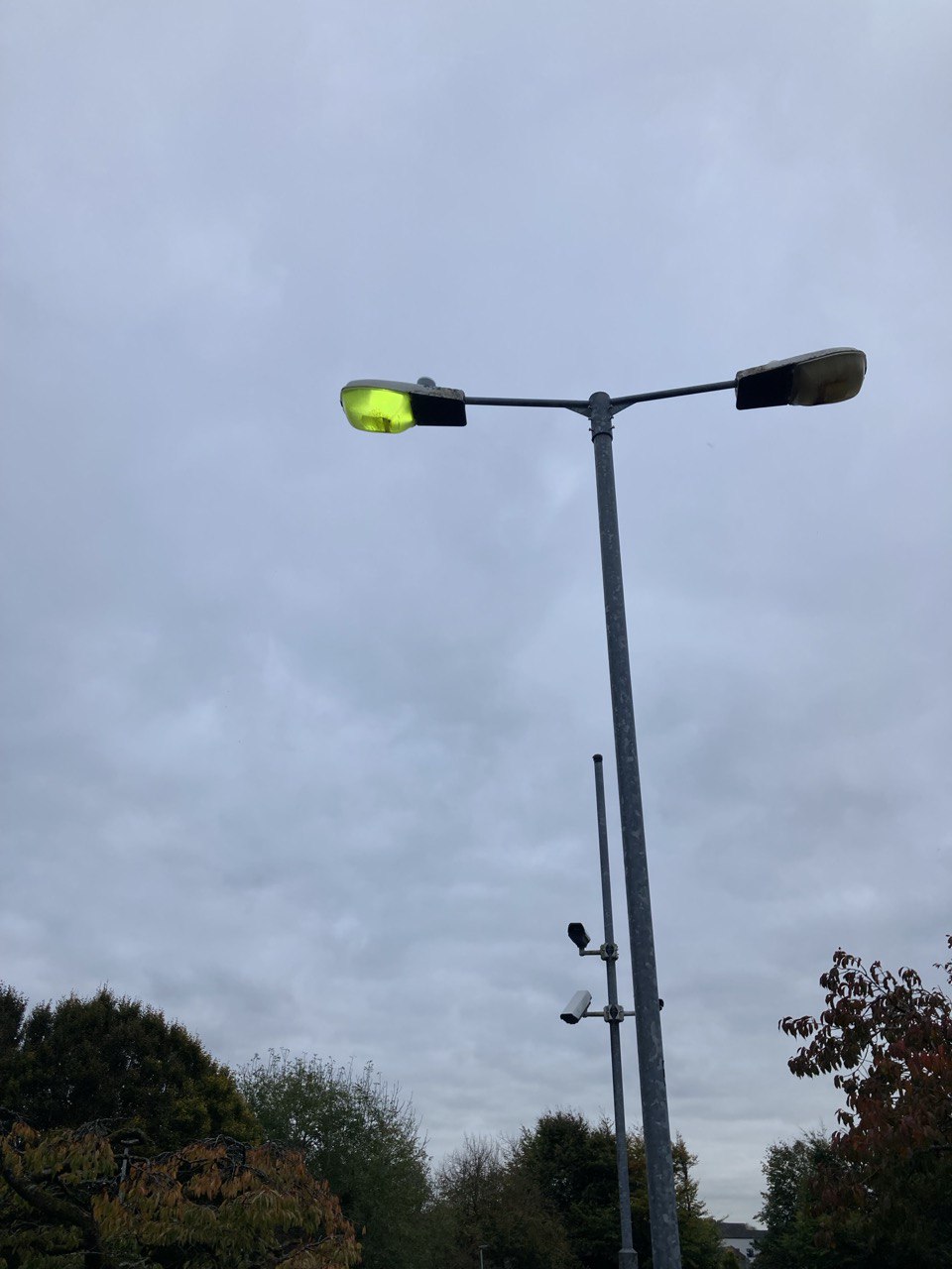 Beta 79 on column - placeholder