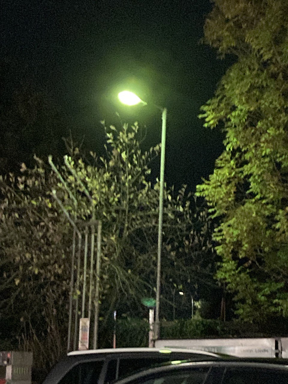 Beta 79 on column - placeholder