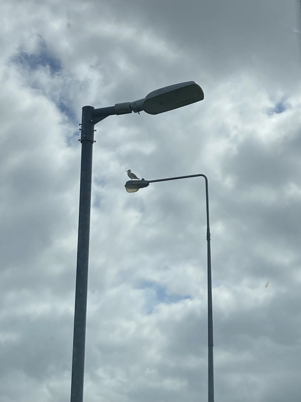 ZX3 on column - placeholder